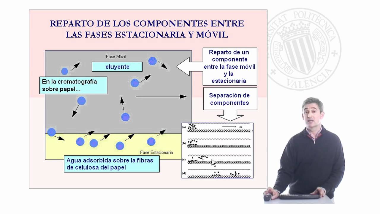 Separación e identificación de los ácidos tartárico, málico y láctico en muestras de vinos  |  | UPV