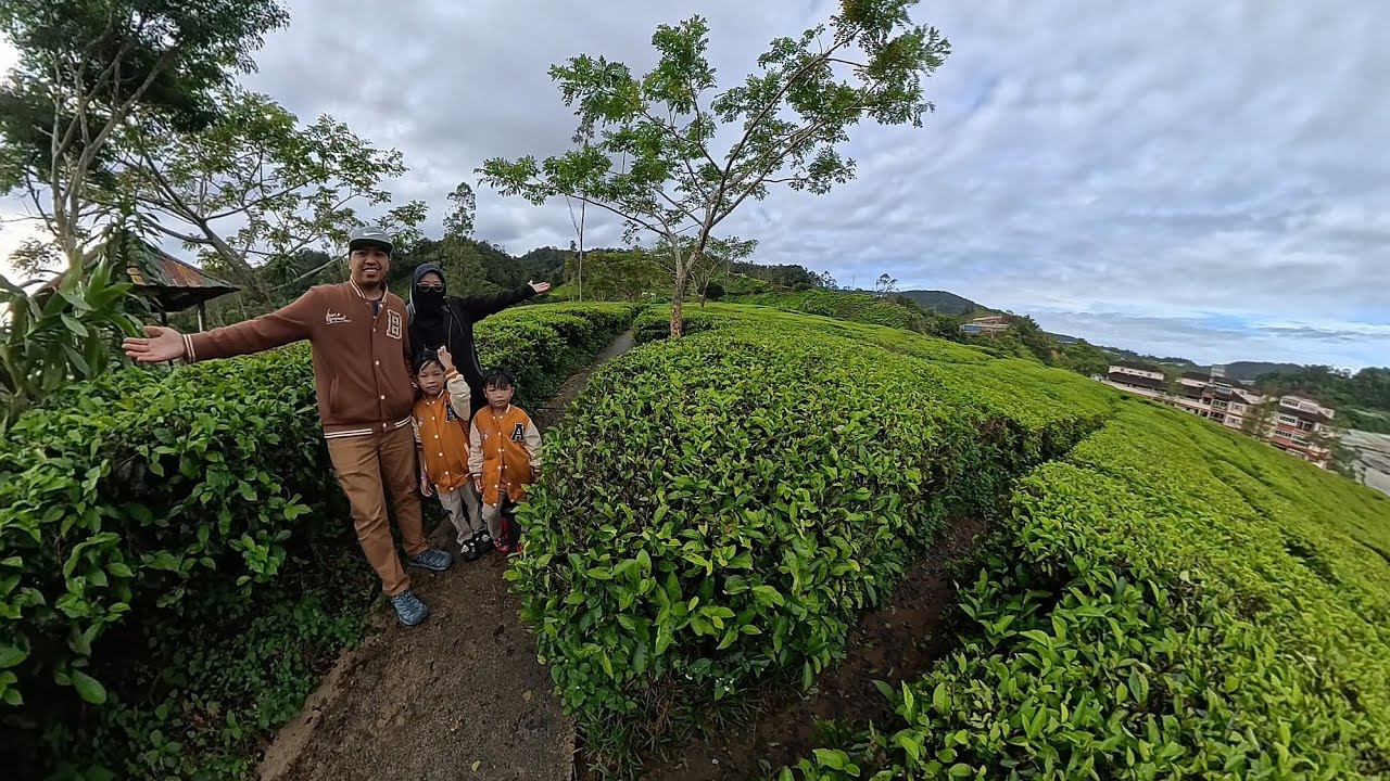 Jalan jalan Cameron Highlands (27-29 Nov 2025)
