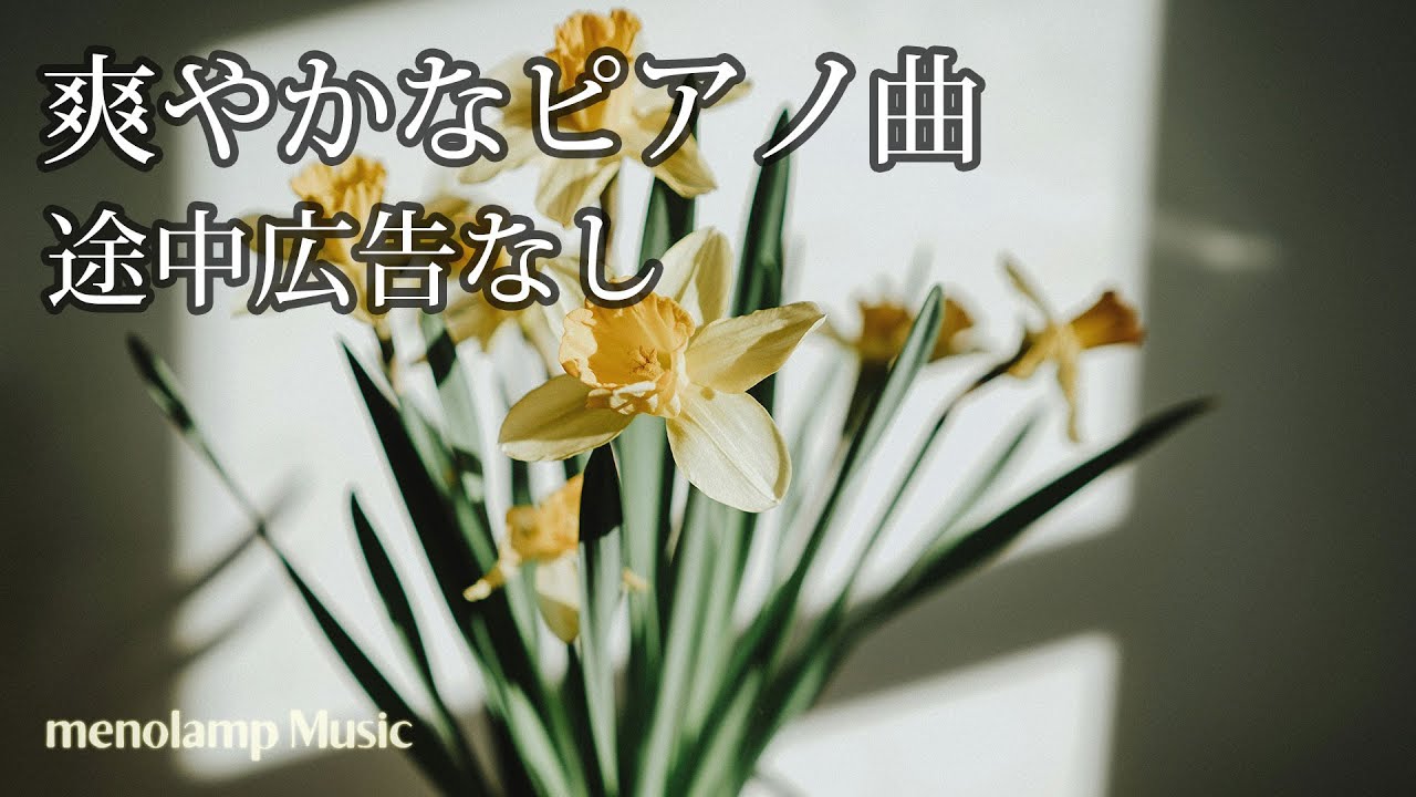 【癒しピアノBGM】冬の水仙の曲 朝の爽やか音楽 途中広告なし