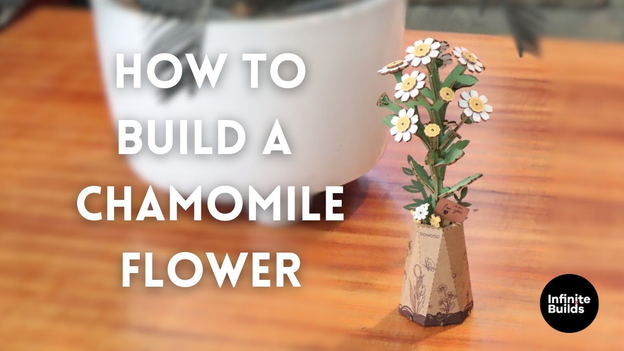 Build a Chamomile Flower | Infinite Builds X Robotime
