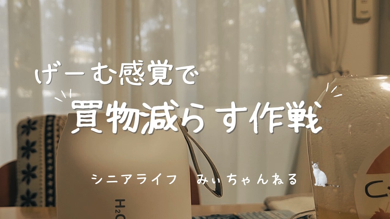 【Vlog】60代 ごはんメモで出費０円の日を作る/Oisixキットでホタルイカのパエリア/ネコに寝袋/