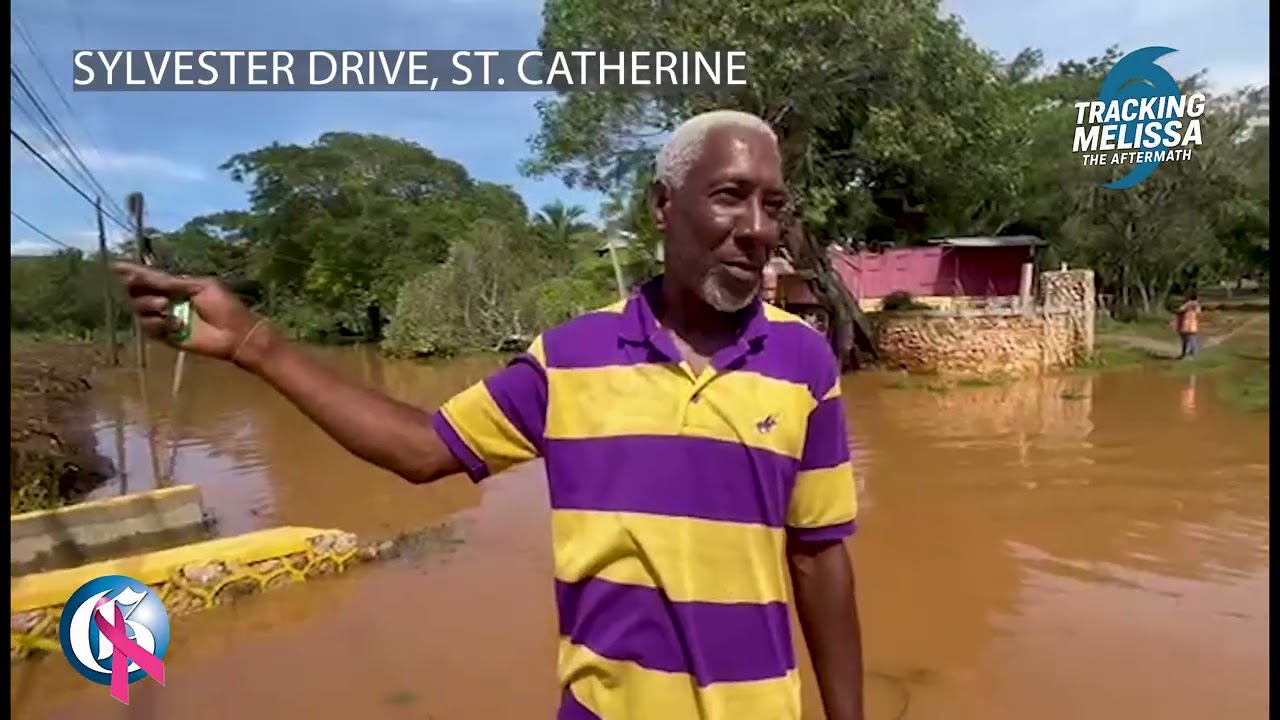 Дом под водой в Большом пруду, Старая гавань