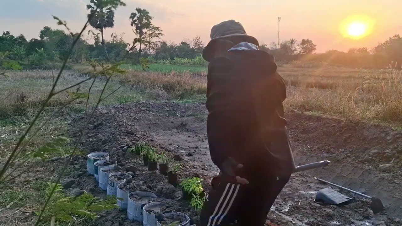 ขุดดินปลุกผักยามแลง#วิถีบ้านนา