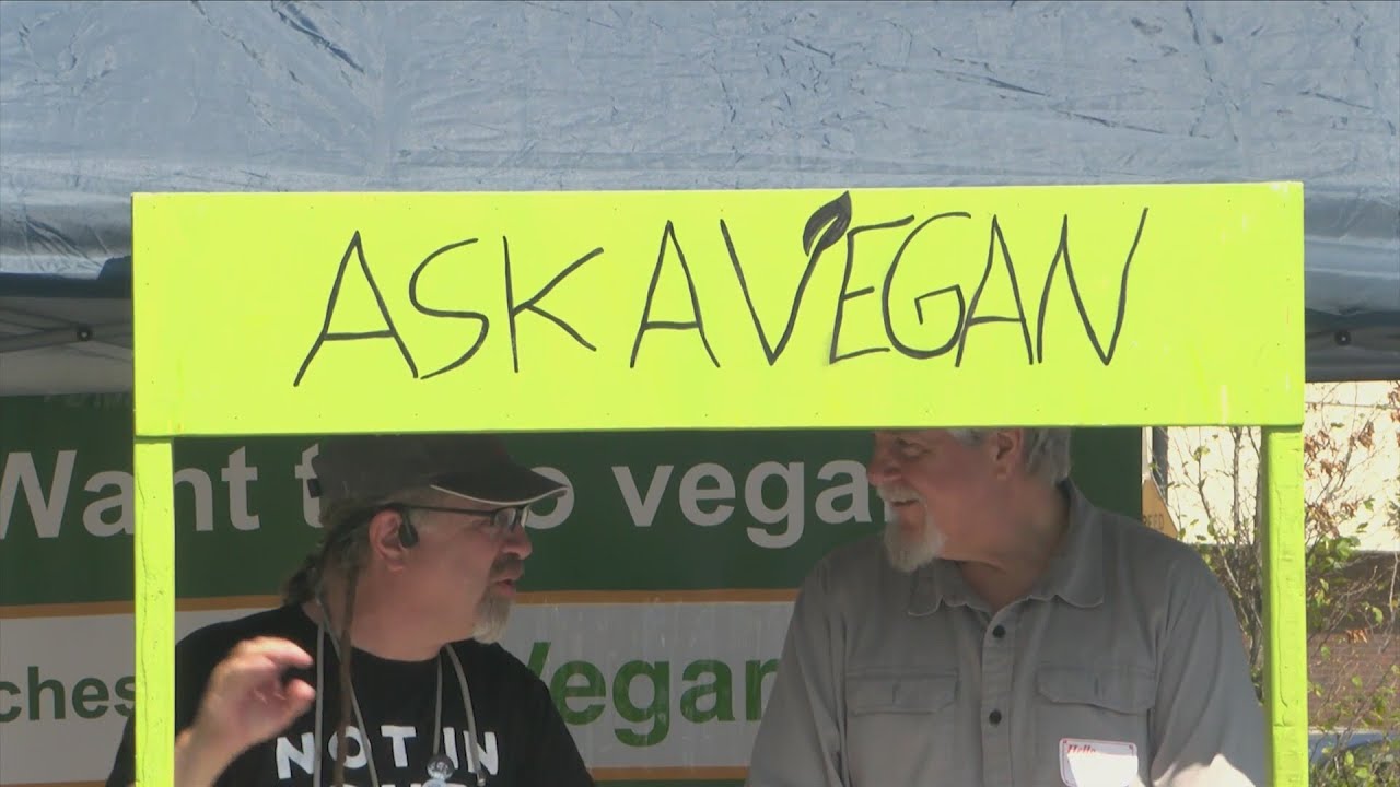 Rochester&rsquo;s Vegan Festival takes to Parcel 5