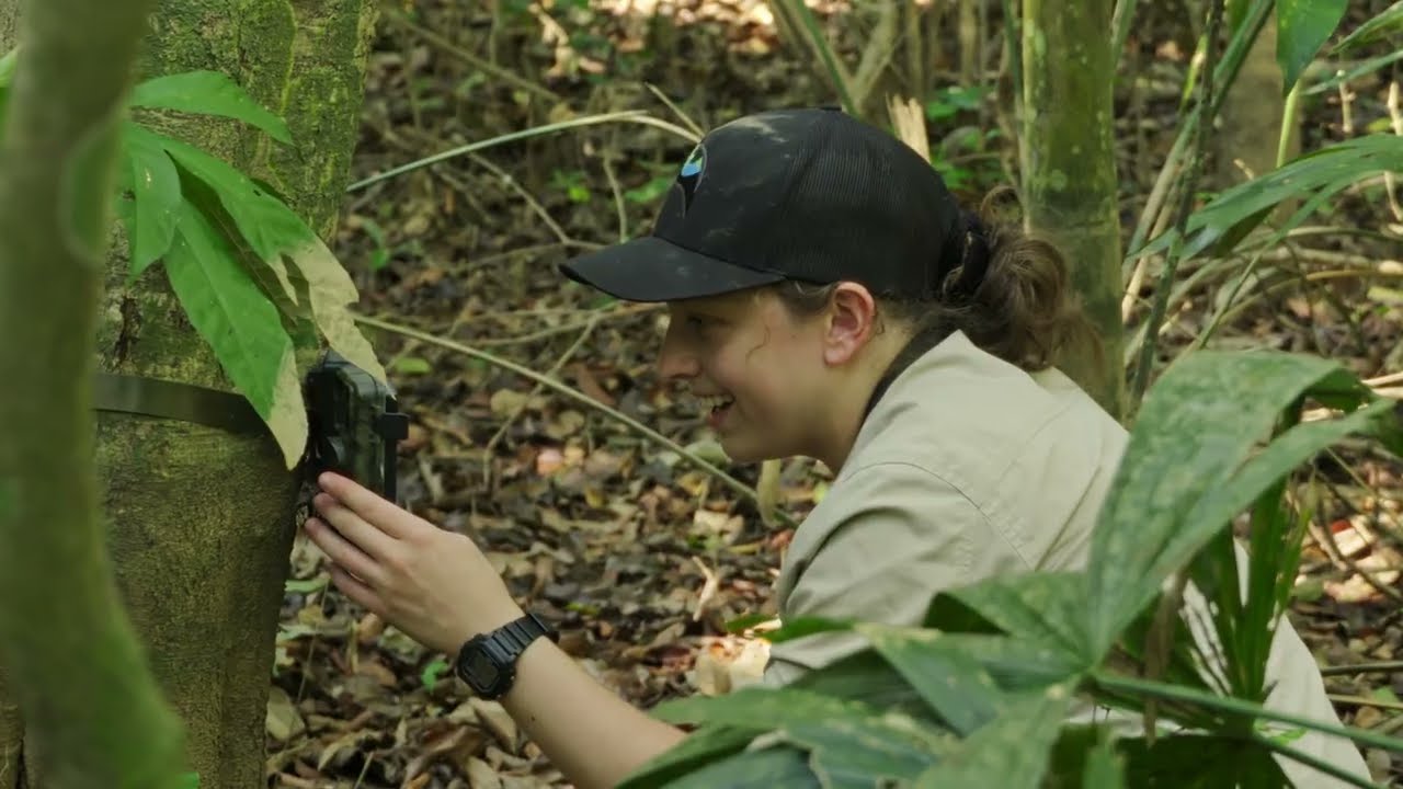 Ecology Research in the Bolivian Amazon (Aquicuana Reserve)