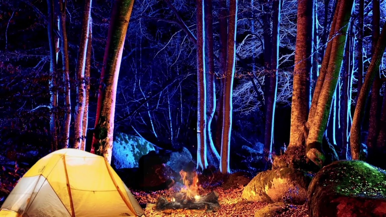Bigfoot Tree Knocks, Breathing Sounds, Orb - Relax & Listen to the Campfire