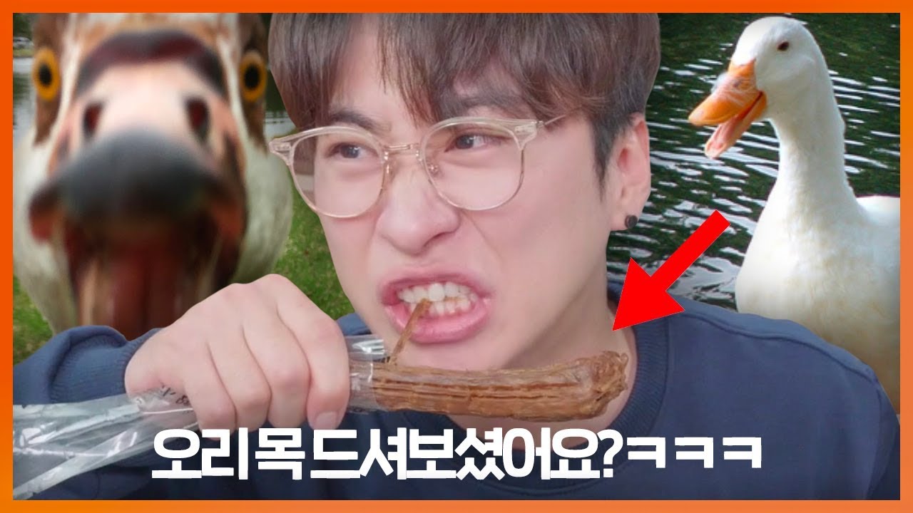 오리목이 이렇게 긴 줄은 몰랐읍니다 ㅋㅋㅋㅋ