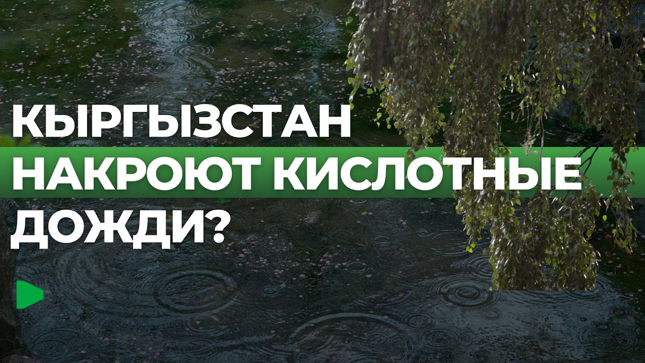Ответ экологов об опасной ситуации в регионе | НОМАД ТВ