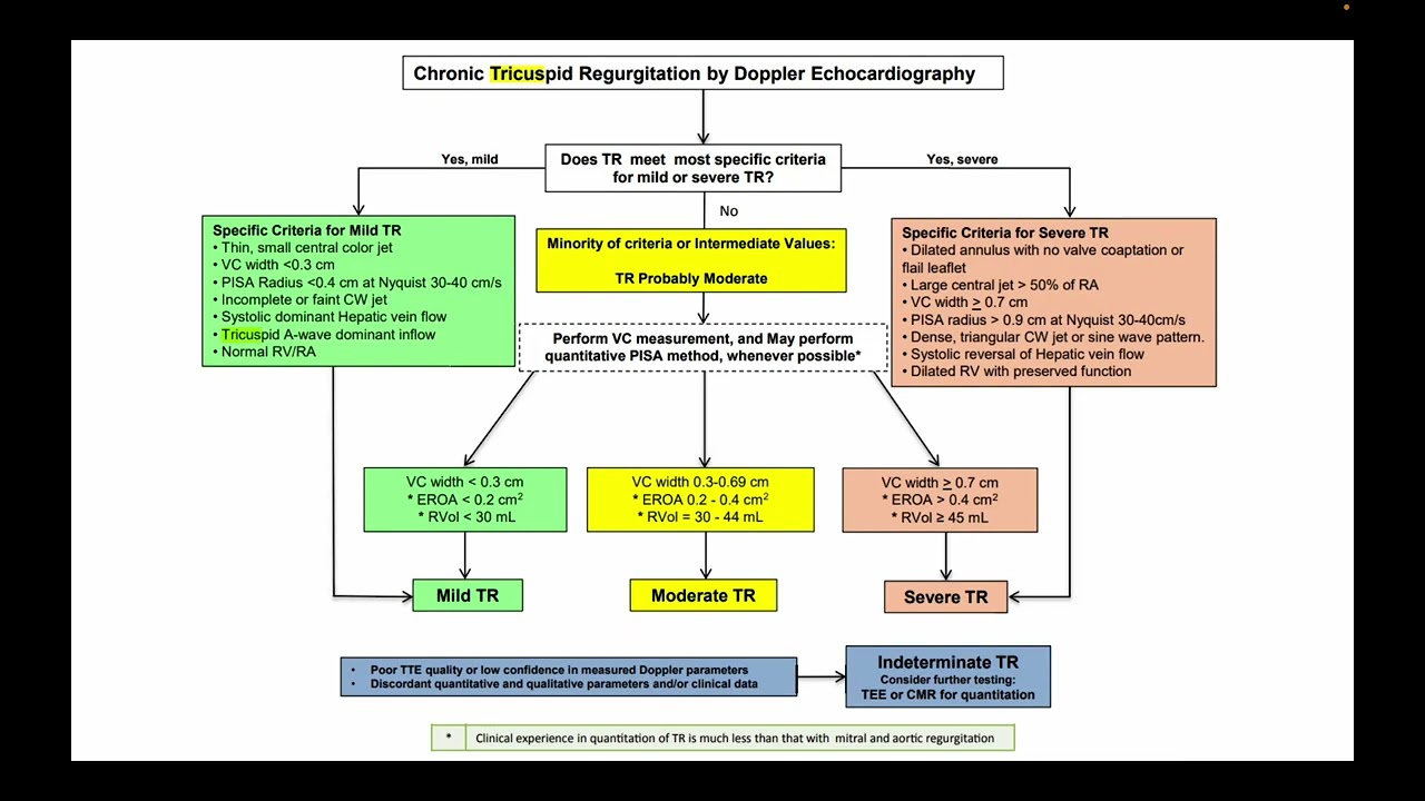 Tricuspid valve and pulmonic valve for ICU (normal, leaky and stenotic)