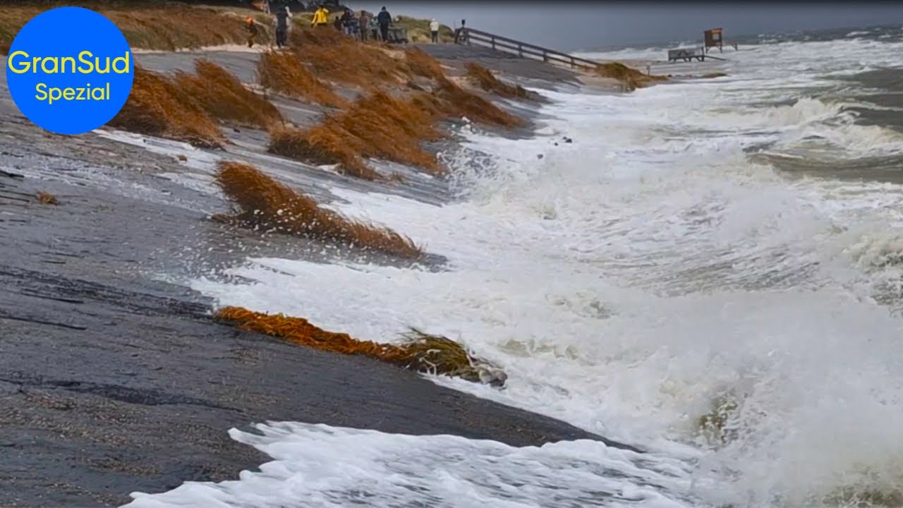Sturmflut auf Föhr - Naturgewalt hautnah