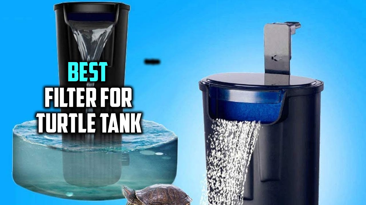 Best Filter for Turtle Tank in 2026 - Top 5 Review | Magniflow Canister Filters