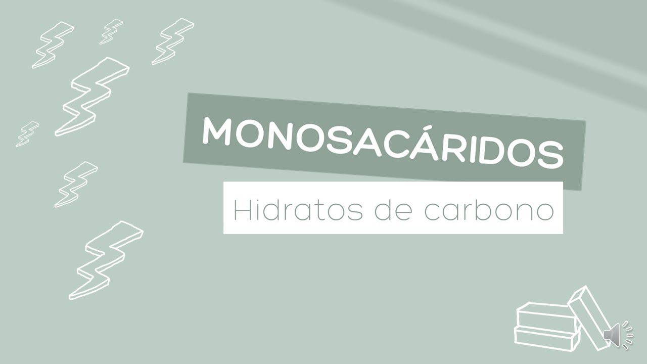 Hidratos de carbono 1 - Estructuras y clasificaciones