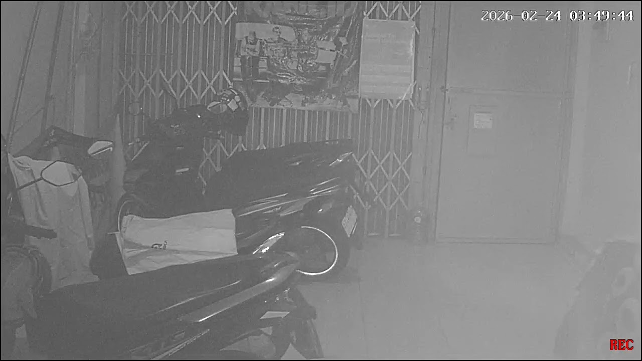 C 24226 Krisbel Pulang Sahur 