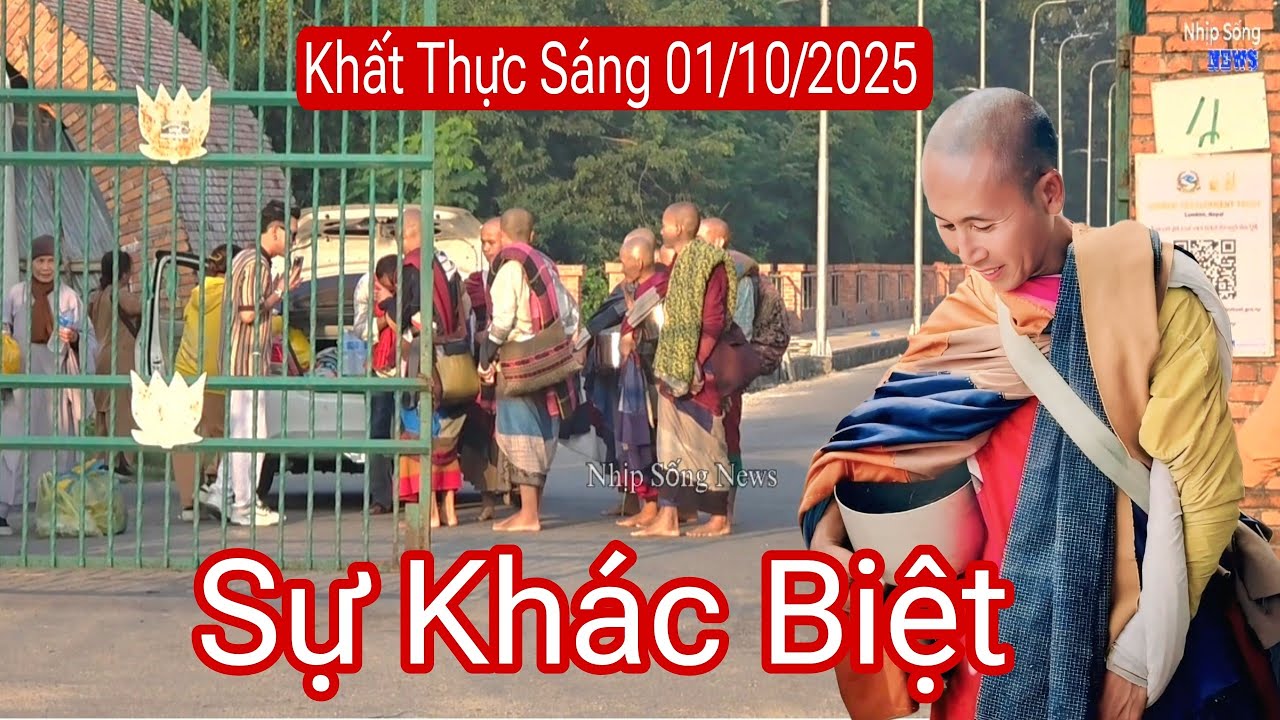 Có sự khác biệt sáng nay 1/10 huynh đệ sư Minh Tuệ nhận khất thực