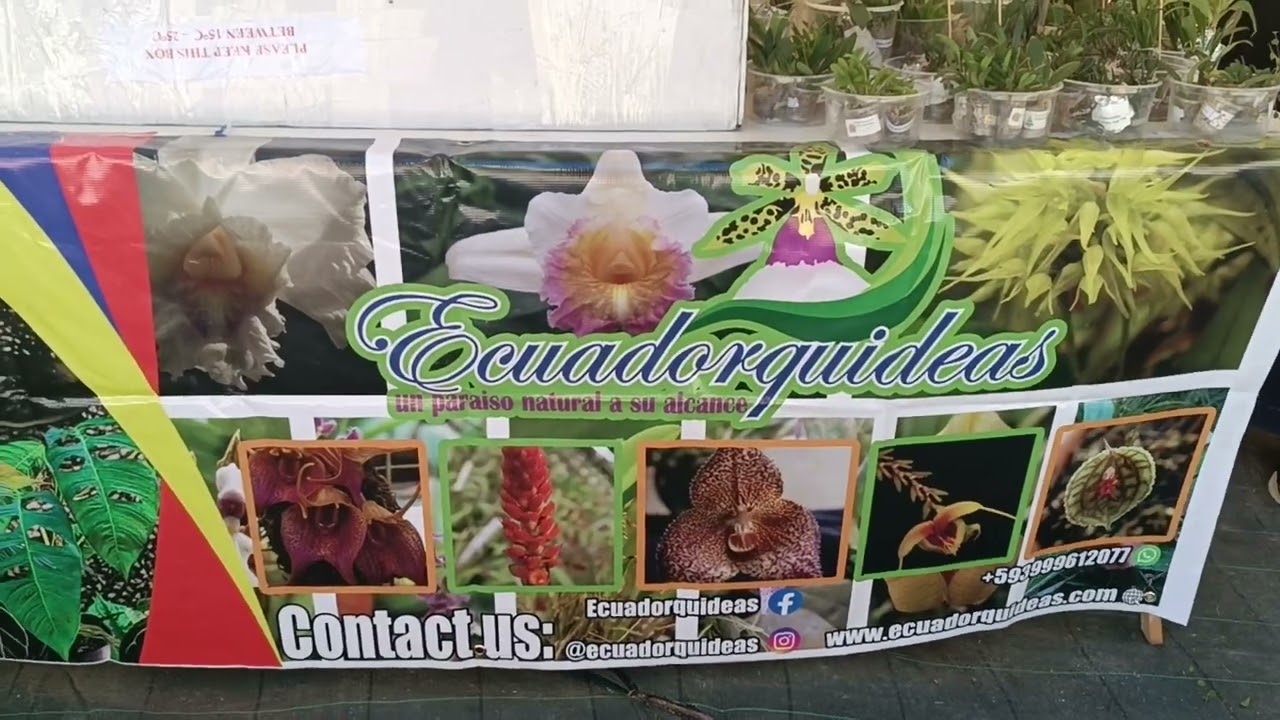 Feria Bilbao plantas de los 5 continentes (parte 1)