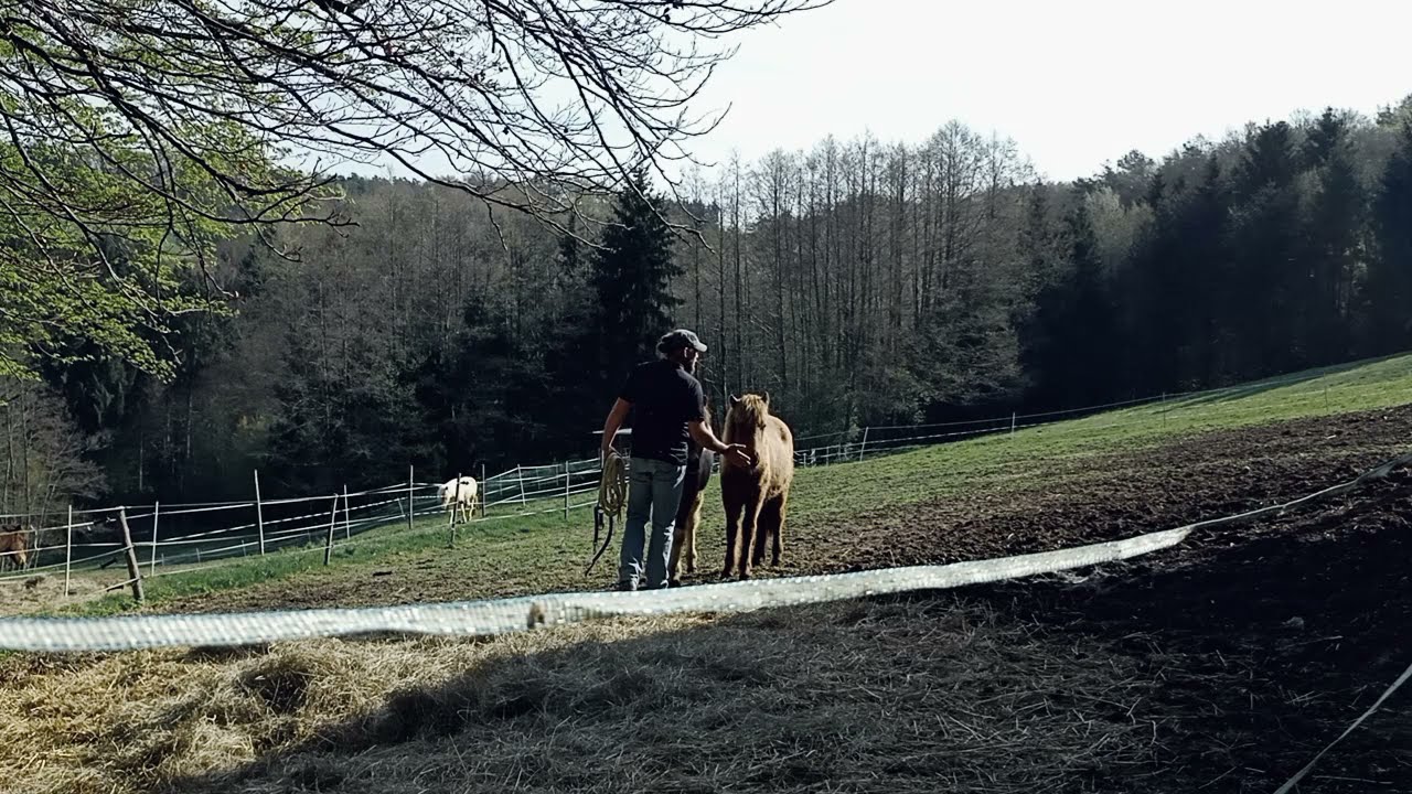 Tag 1 - Das erste Kennenlernen