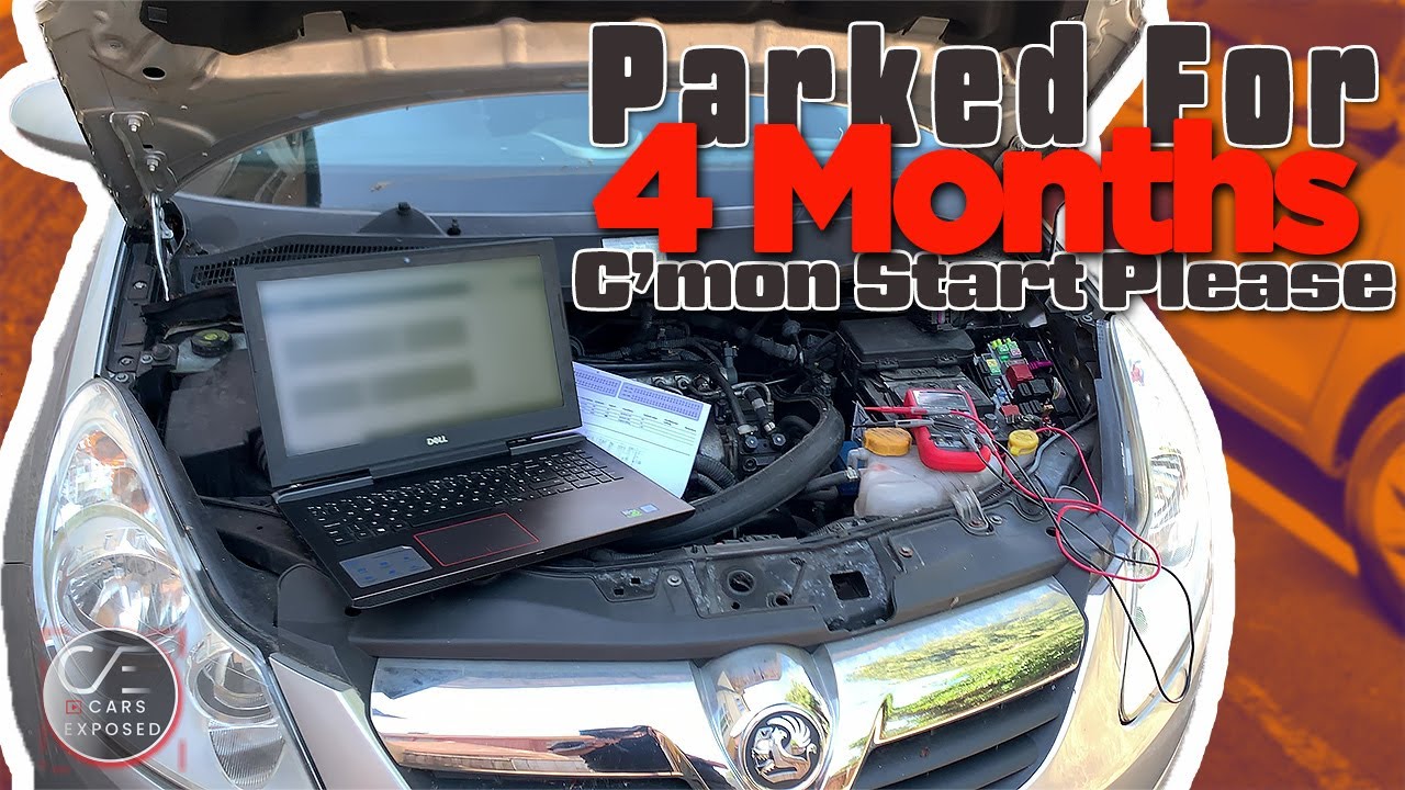 Vauxhall Corsa D 1.3 Diesel Crank No Start | Код ошибки P1625 P2146