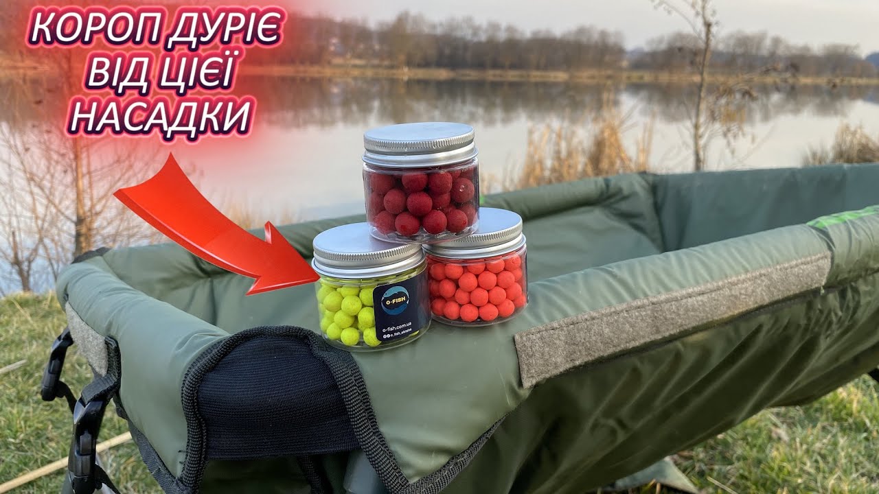 ПОЧАТОК БЕРЕЗНЯ РИБАЛКА НА КОРОПА! ВЕСНЯНА ПРИГОДА НА РИБАЛЦІ НА КАРПА,  А ВІН ВЖЕ КЛЮЄ !!