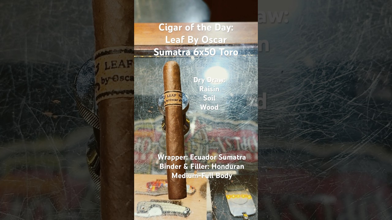 Leaf By Oscar Sumatra 6x50 Toro #Short #CigarReview #Shorts #CigarOfTheDay #Cigars