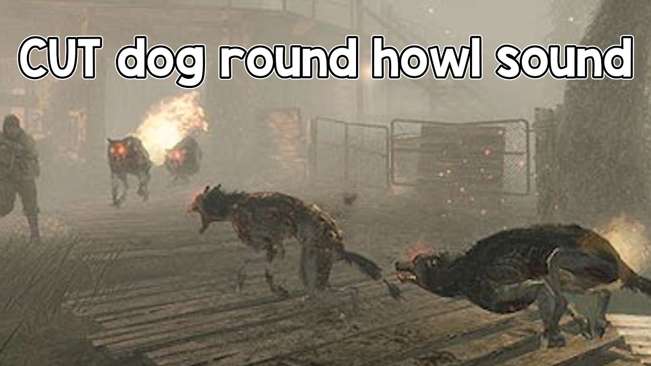 COD Zombies: CUT Dog Round Howl Sound
