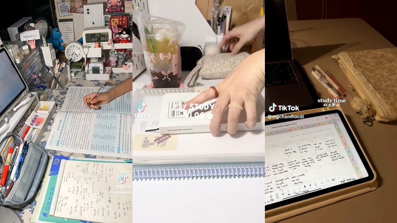 [Studytok] 