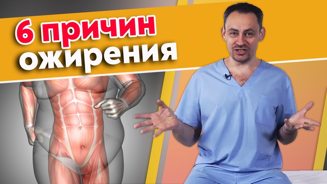 Почему люди толстеют? Основные причины лишнего веса | Профилактика ожирения