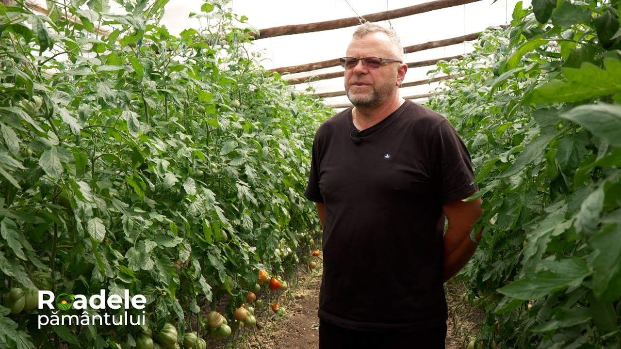 Matca din Galați, unul dintre cele mai mari bazine legumicole din țară #RoadelePamantului