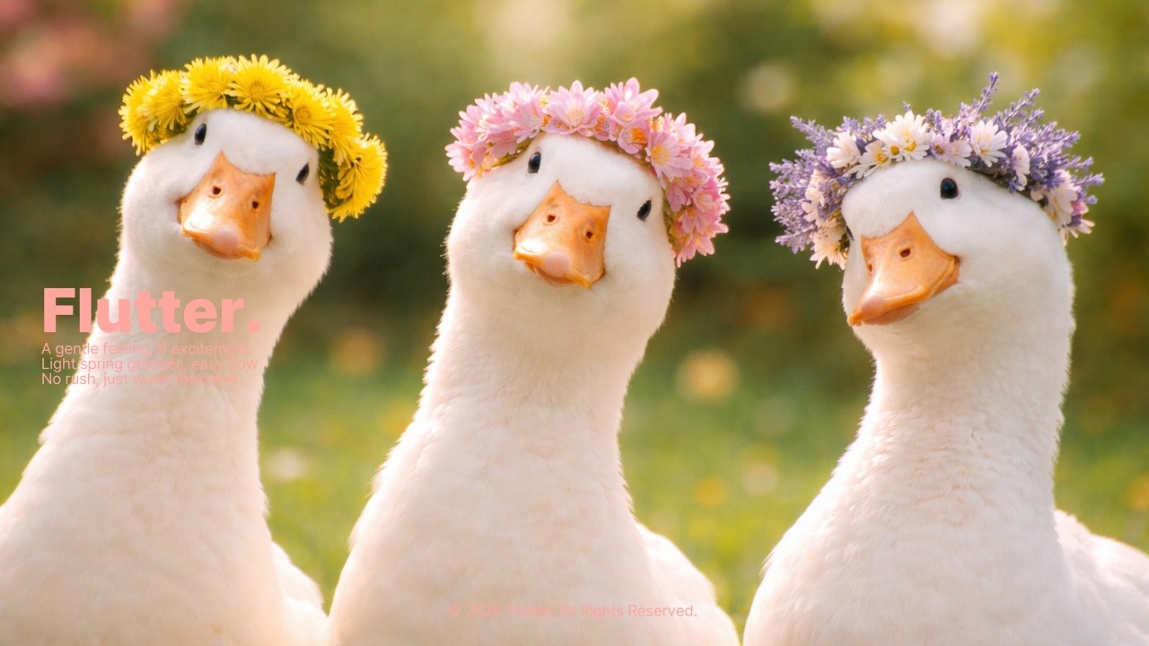 PLAYLIST | 꽥꽥! 봄이 오려나봐요 🦆 Sunny Side Quack