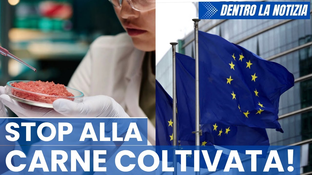 Carne coltivata presentata domanda per vendere in tutta UE. Spagna costruir&agrave; il pi&ugrave; grande impianto!