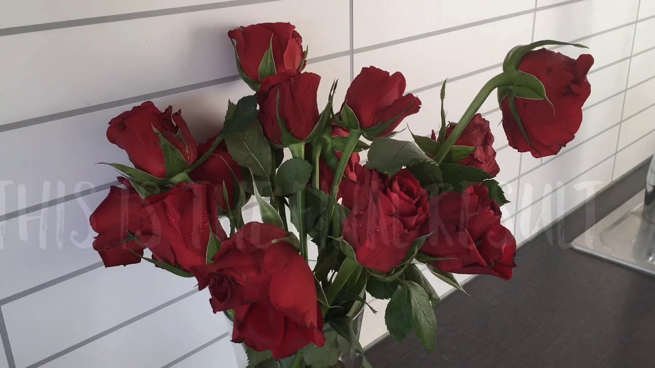 Experimental Video: Reviving Wilted Rose