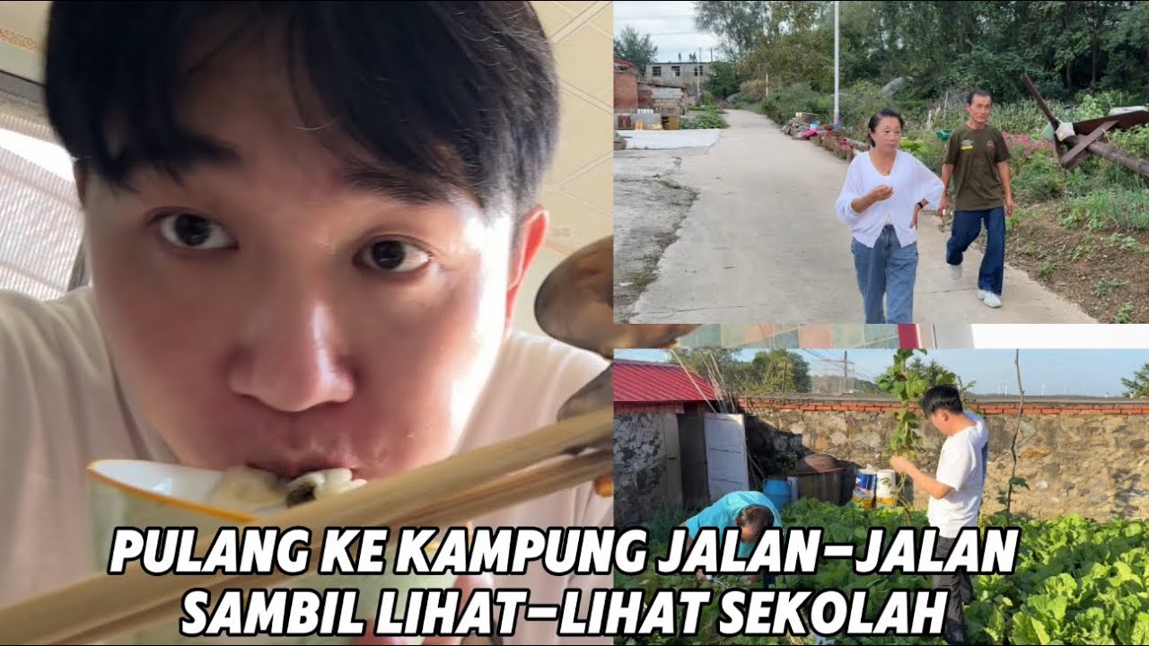 Bantu Memetik Kacang Dan Makan Masakkan Baba Enak Dan Sederhana 