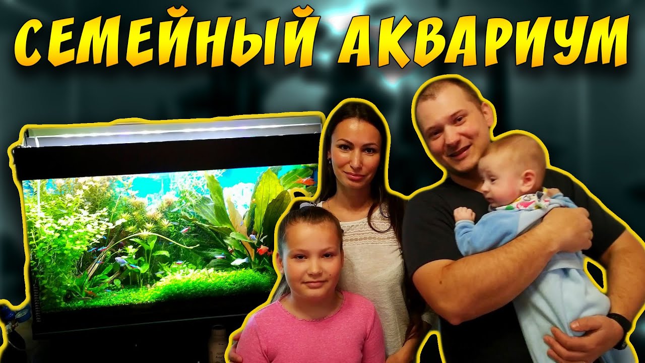 ДОМАШНИЙ АКВАРИУМ ТРАВНИК 250 ЛИТРОВ ГОРДЕЯ И ИРИНЫ!