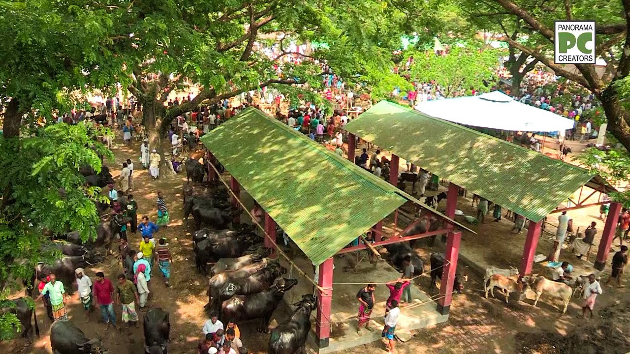 নরসিংদীর বিখ্যাত পুটিয়া হাট (২০২২)  || @PanoramaHaatBazar