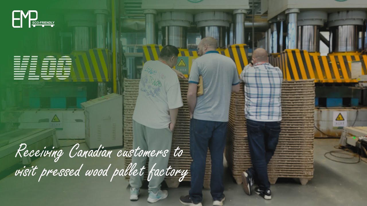 A Canadian Customer's Factory Visit: Unveiling the Pressed Wood Pallet Production Line!