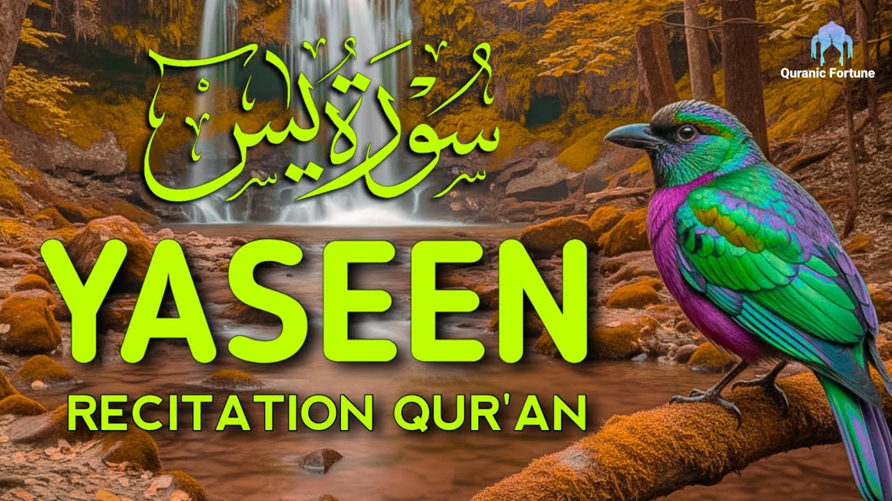 RELAXING YASEEN QUR'AN RECITATION FOR PEACE & BLESSINGS, سُوْرَةُ يٰسٓ BEAUTIFUL ARABIC.