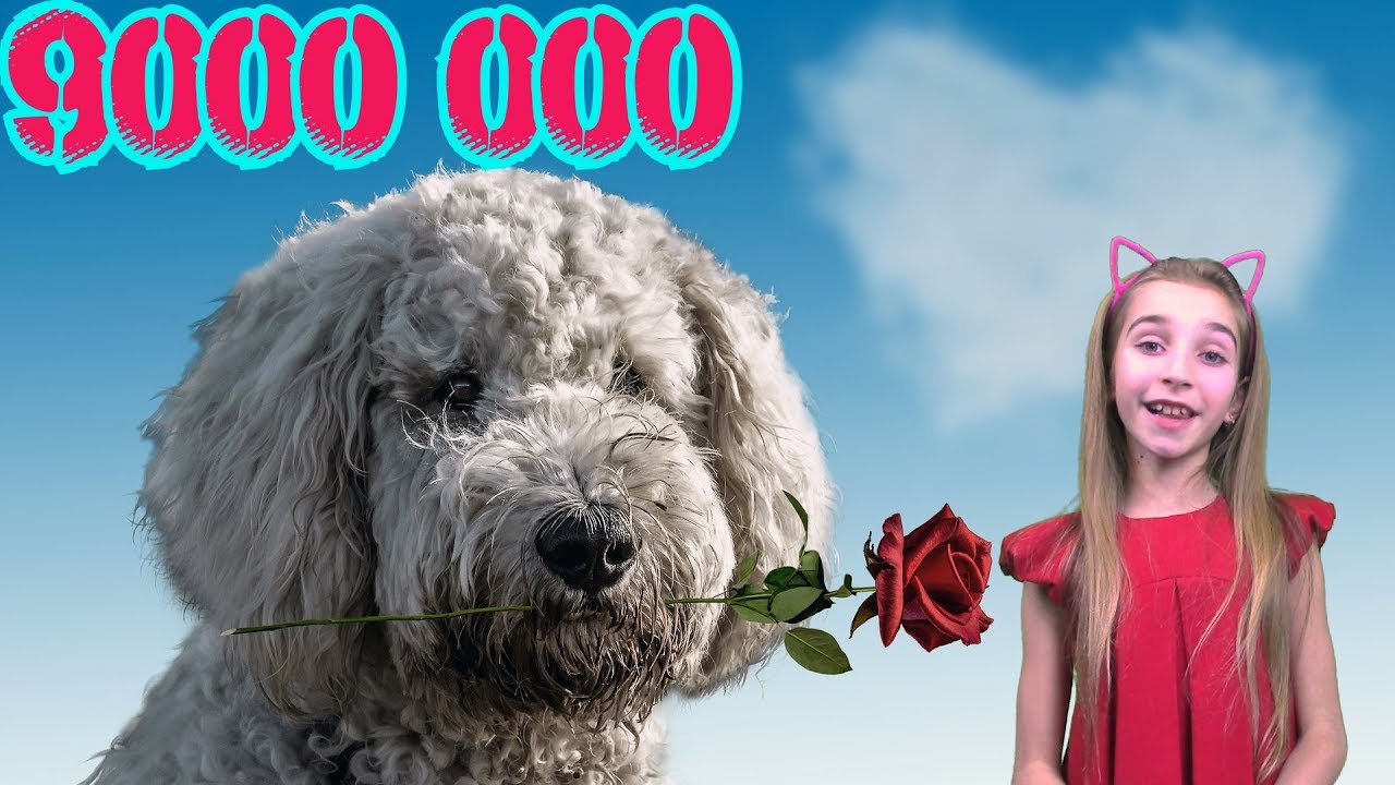 10 Цікавих Фактів про ДЕНЬ СВЯТОГО ВАЛЕНТИНА 💞 Привітання з Днем Святого Валентина