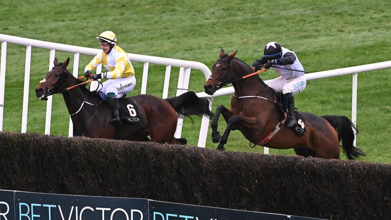 King George possibilities for HEART WOOD | Racing TV