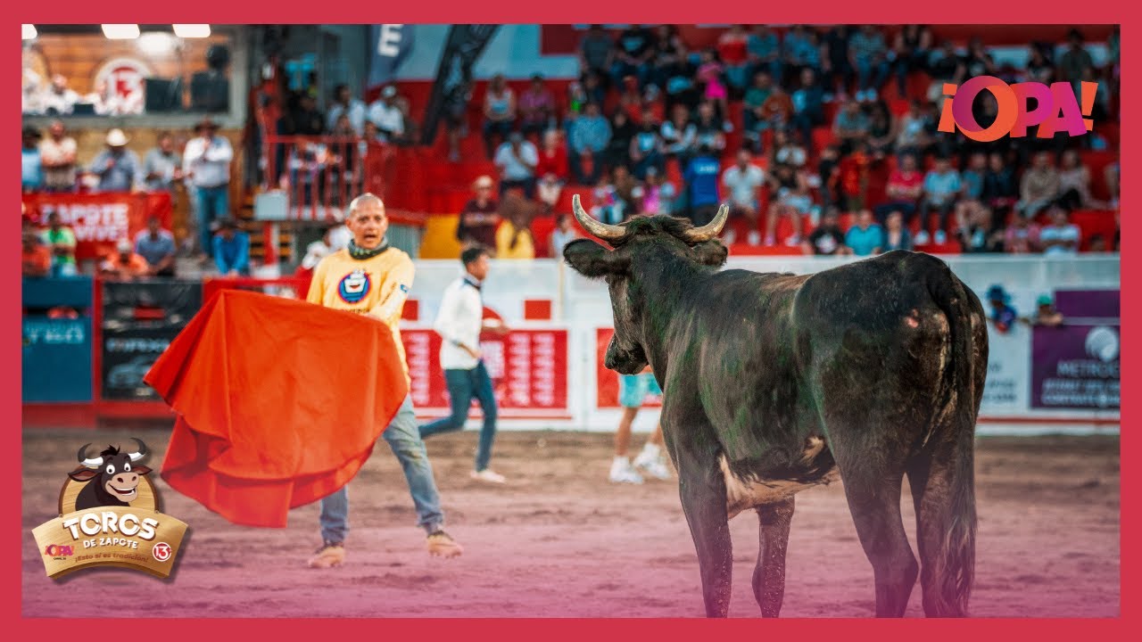 #EnVivo Esto si es tradición, Toros🐂 en Zapote Con ¡OPA! .Recordá sintonizarnos por ¡OPA! #Canal38