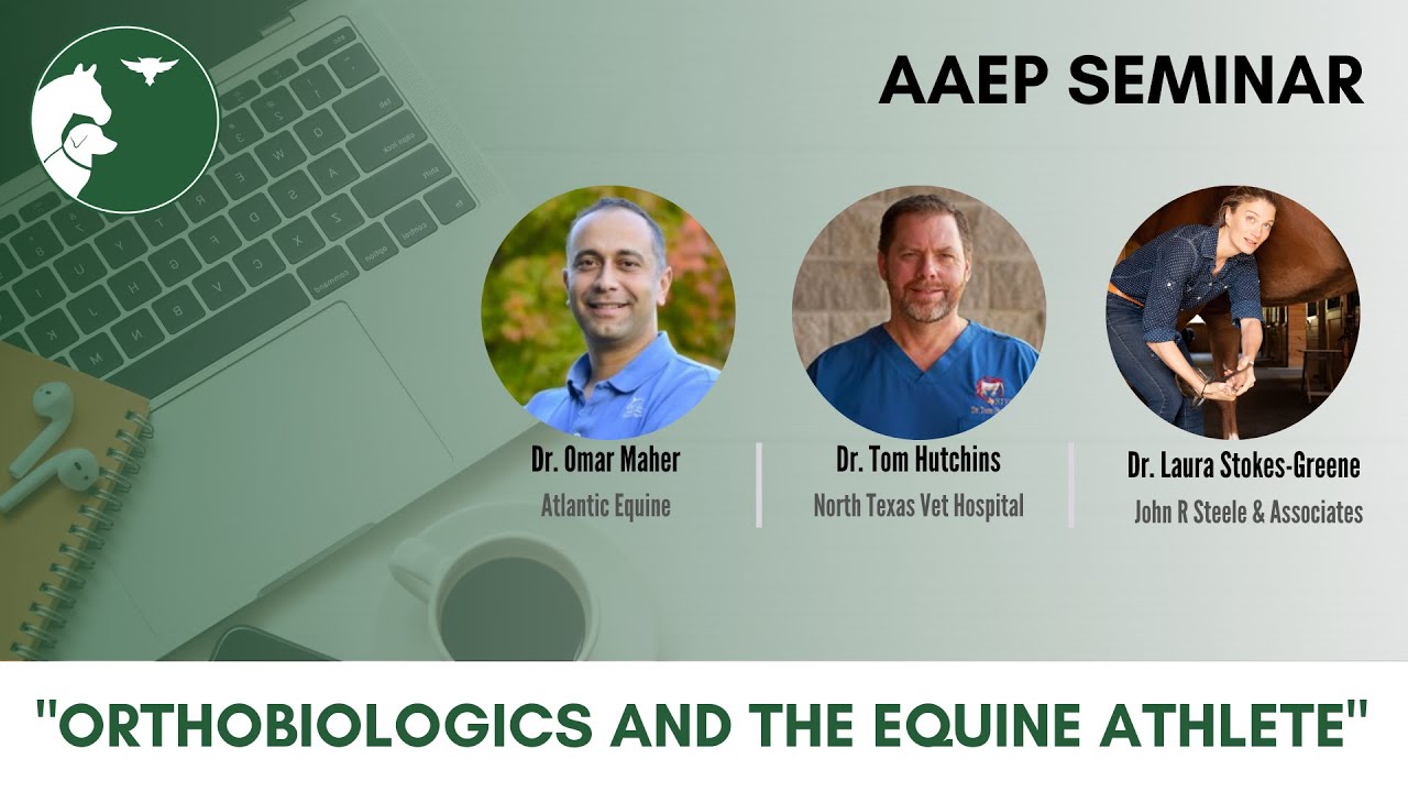 AAEP Seminar - 