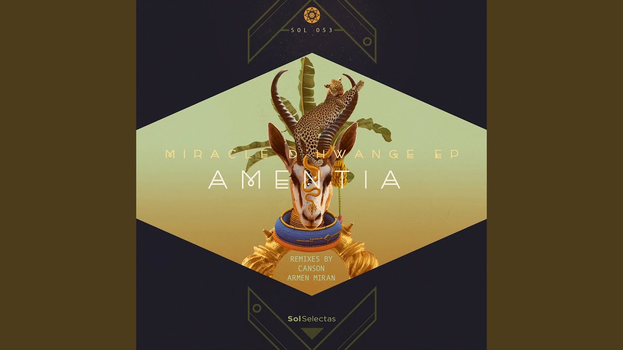 Miracle D'Hwange (Armen Miran Remix)