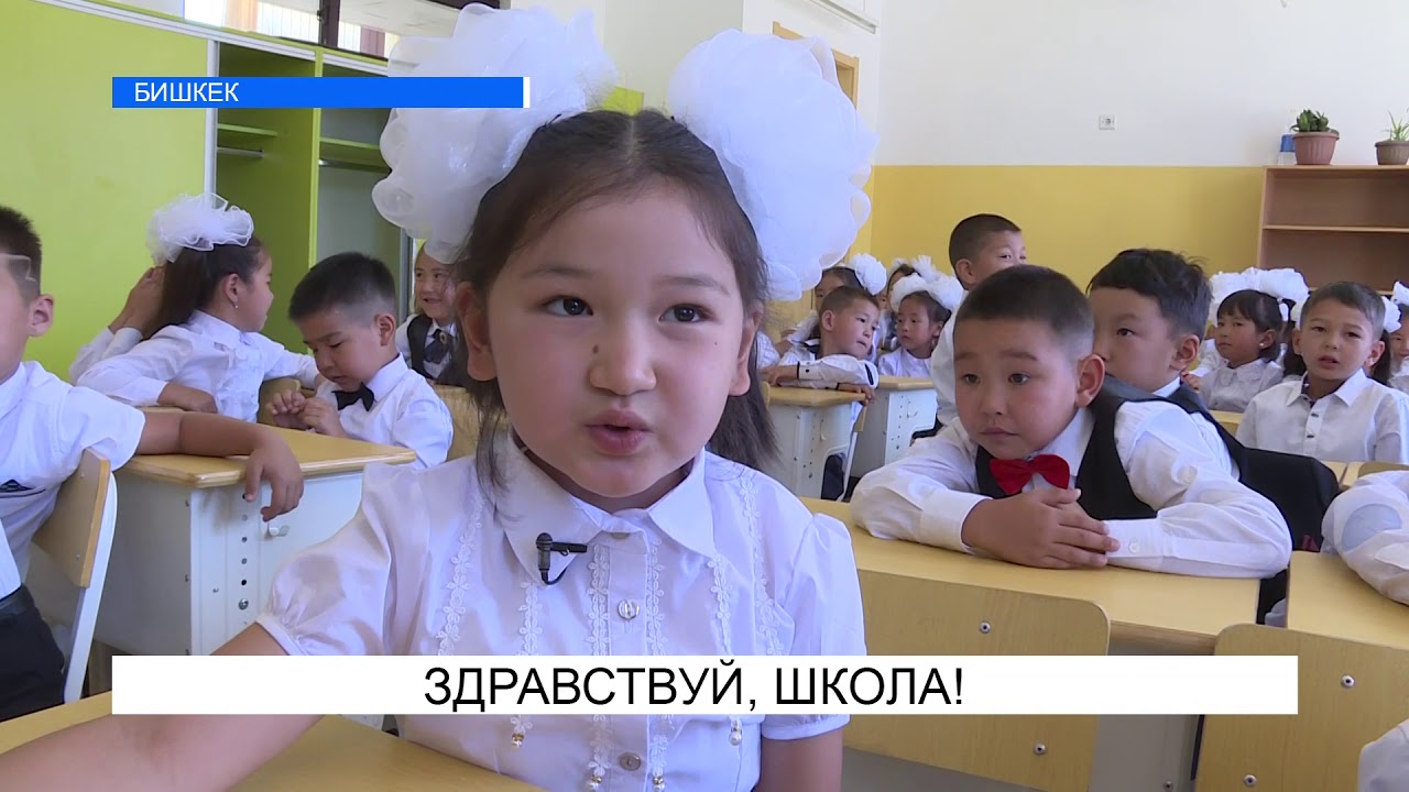 New TV, специальный репортаж. 