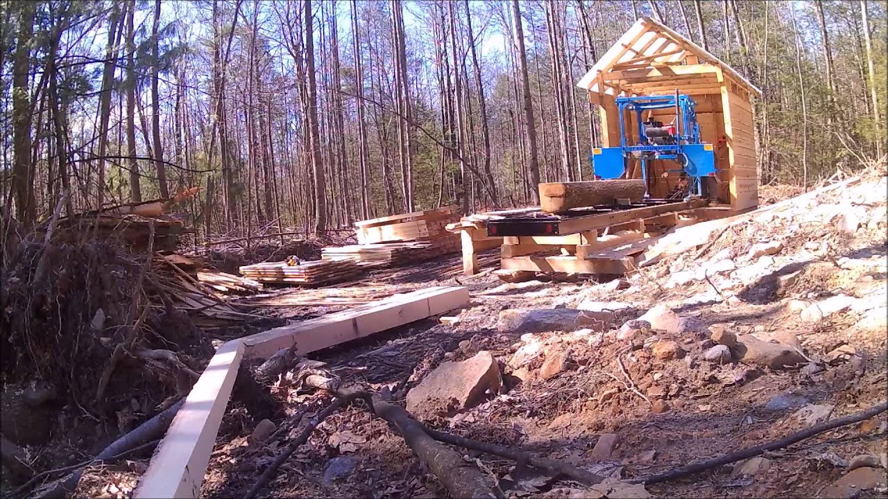 Sawing a Red Oak log