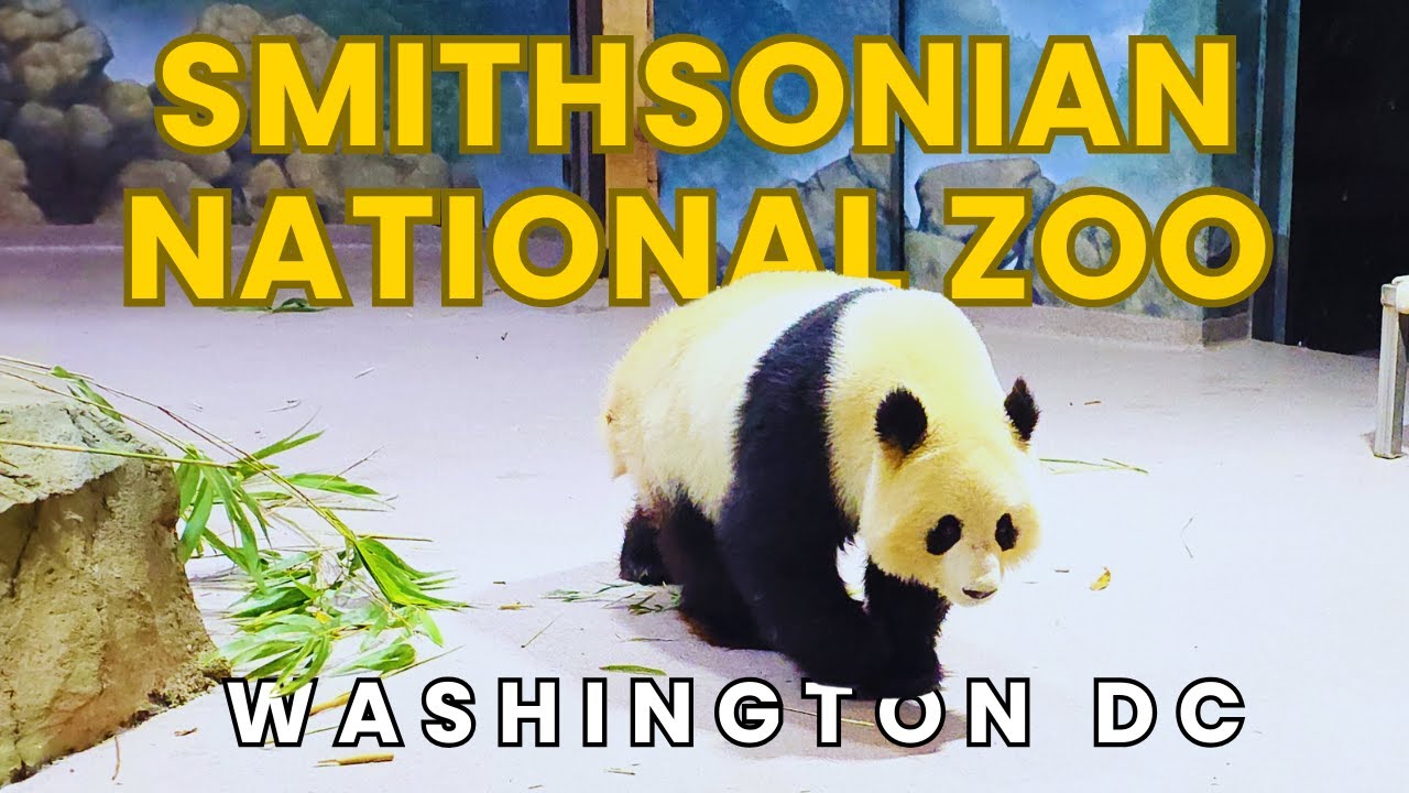 Smithsonian National Zoo Park Washington DC Full Tour