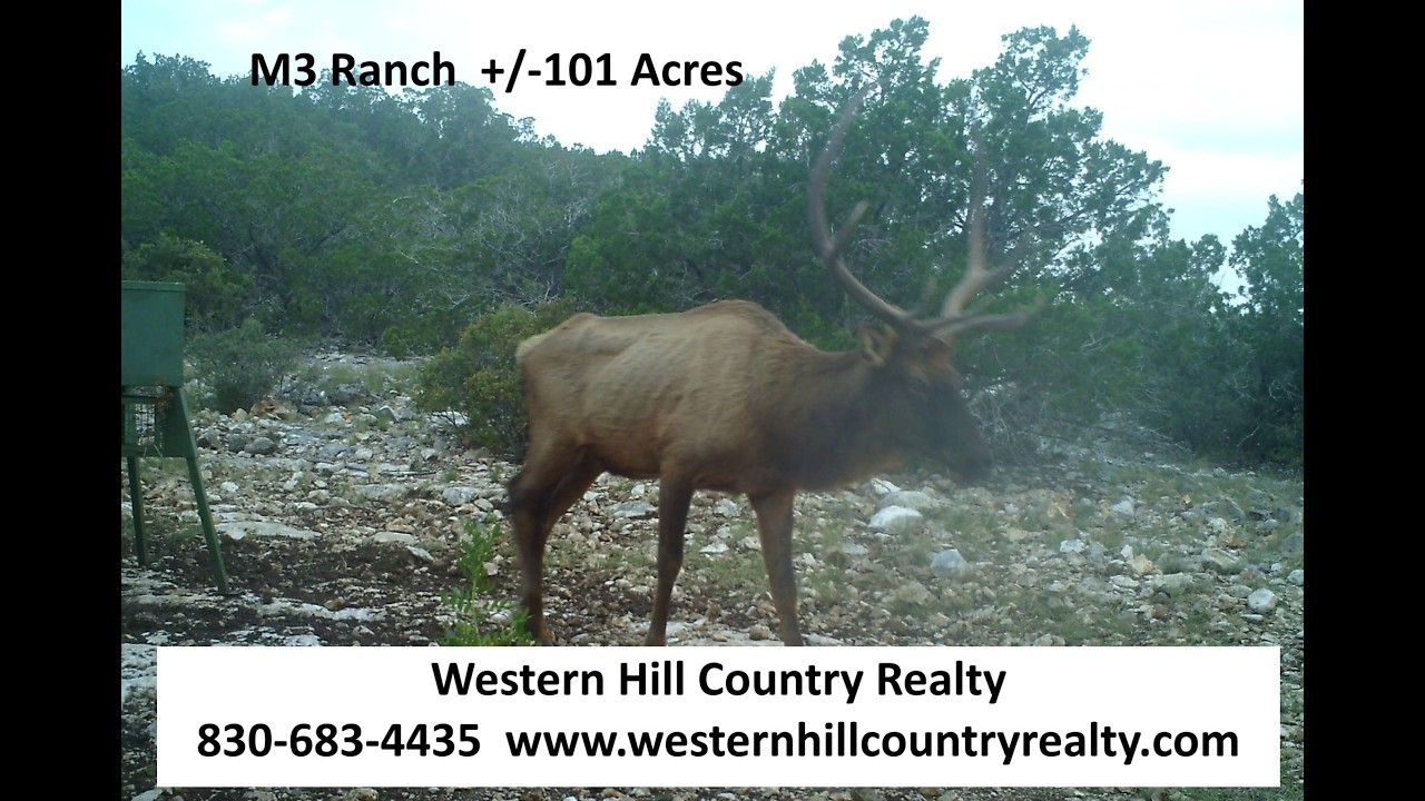 +/-101 Acres w Cabin, Elec, Water, Views #westernhillcountryrealty #landandhouse #hunting  170 M3Rch
