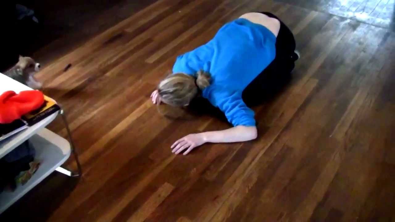 CORGI PUPPY ATTACK