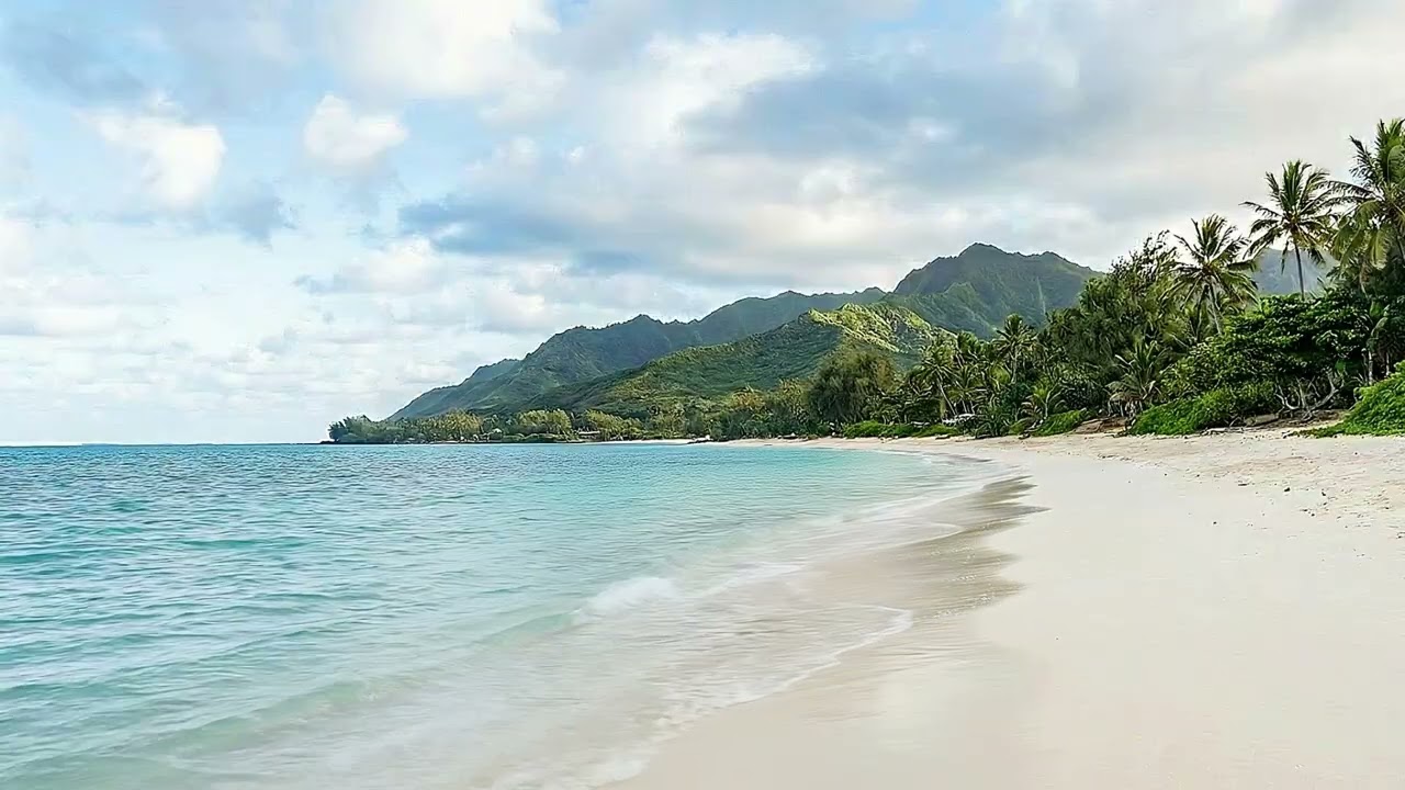 Deep House Tropical EDM Mix - Summer Chillout Music - Beach Vibes