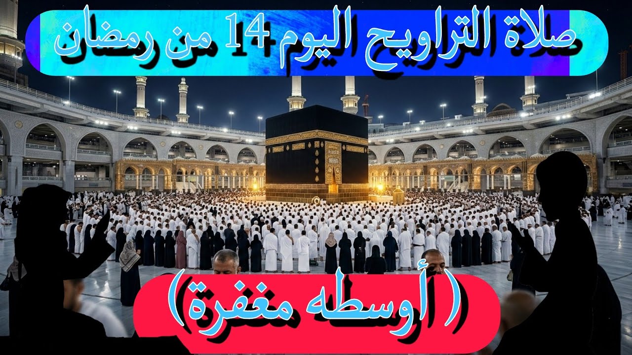 صلاة التراويح اليوم 14 لحظات الخشوع التي تمنيتها صلاة من قلب المسجد #صلاة_التراويح #قصص_وعبر #رمضان