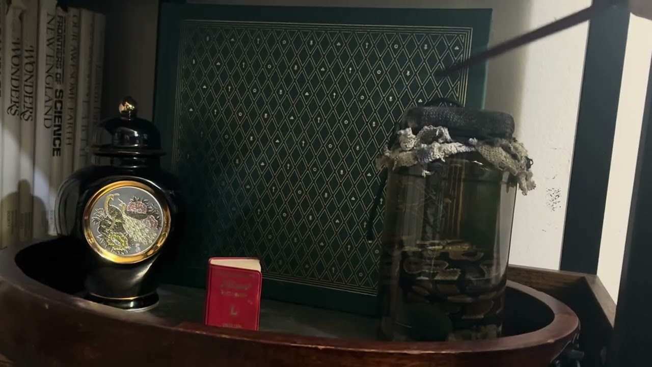 ASMR library tour part 3