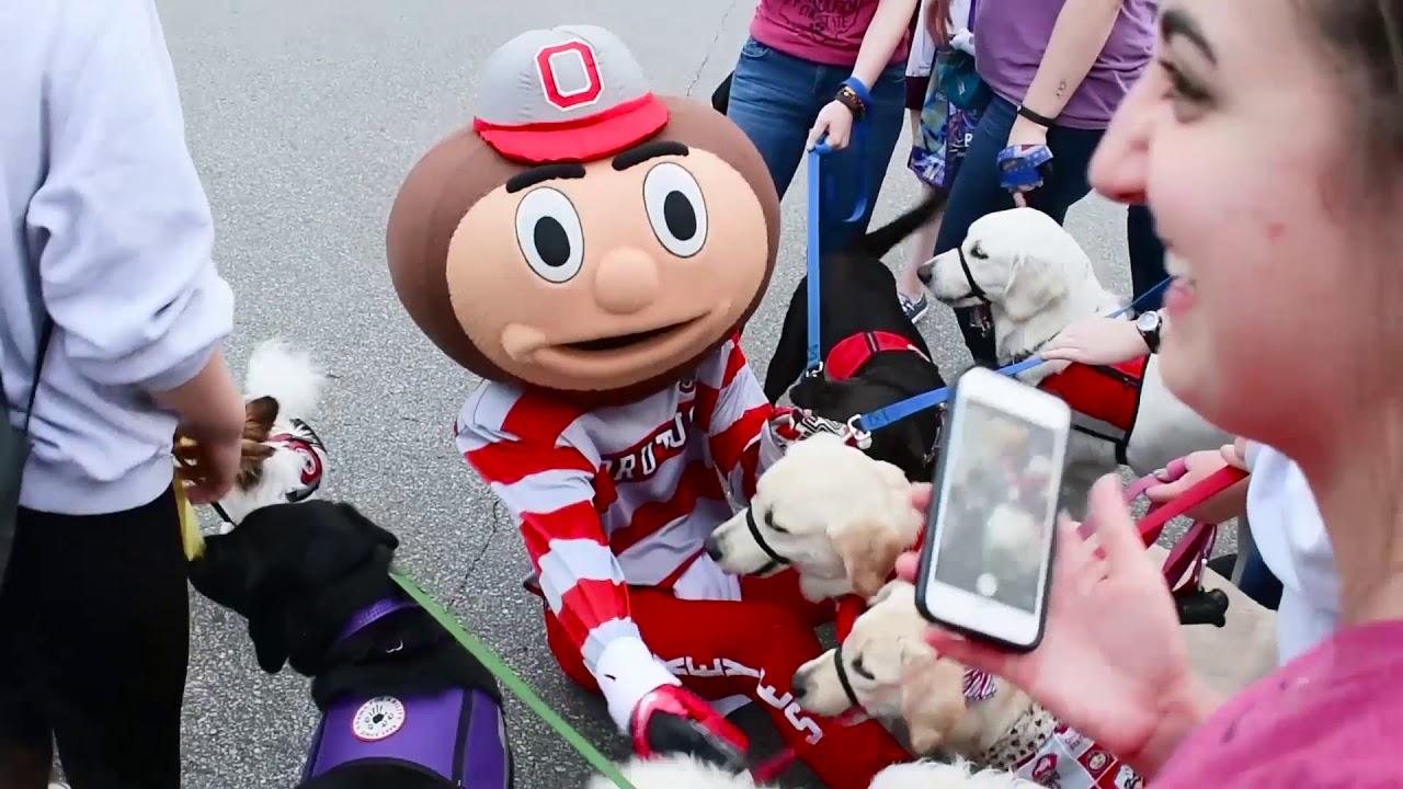 2018 Brutus Buckeye Nationals Entry Video