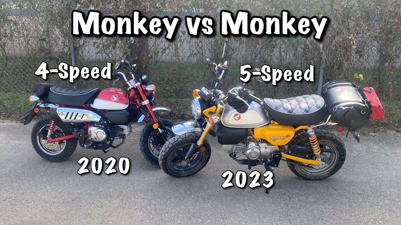 4-Speed Monkey vs 5-Speed Monkey / Top Speed and Acceleration Comparison